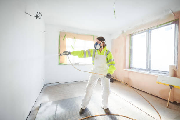 Professional Mold Removal in Kirbyville, TX