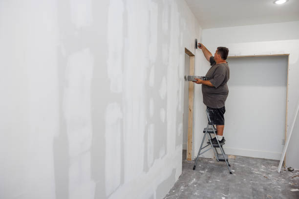 Kirbyville, TX Mold Removal Company